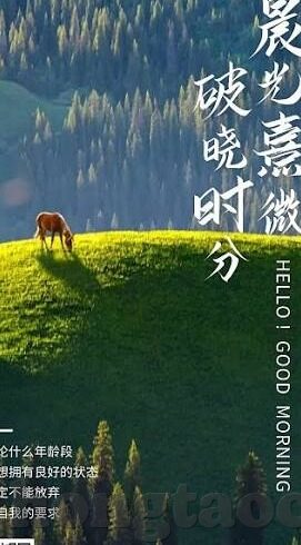 日韩av电影在线播放-日韩AV电影的在线观看，文化、伦理与个人选择的交汇